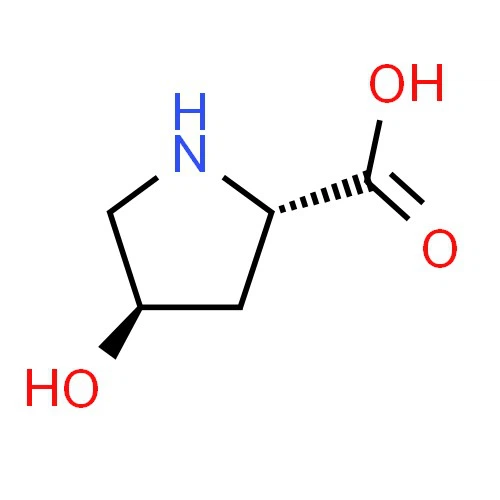 CAS:51-35-4|Trans{1}}Hidroksi-L-prolin