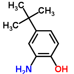 CAS: 1199-46-8|2-Amino{2}}terc-butilfenol