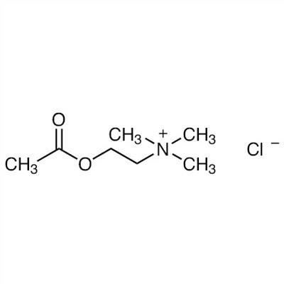 CAS:60-31-1|Acetilholin hlorid