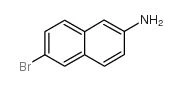 CAS:70592-80-2|LAURYL DIMETHYLAMIN OXIDE