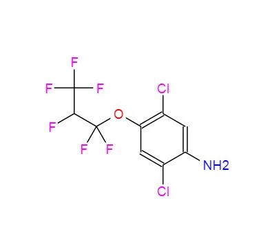 CAS:103015-84-5丨2,5-dihloro-4-(1,1,2,3,3,3-heksafluoropropoksi)benzenamin