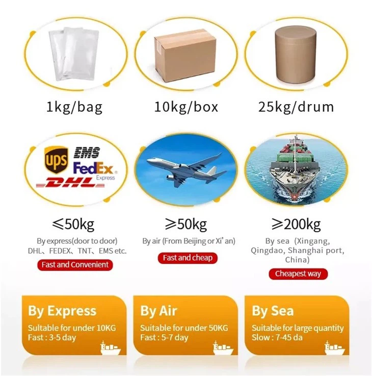 CAS:5080-50-2丨O-Acetyl-L-carnitine Hydrochloride