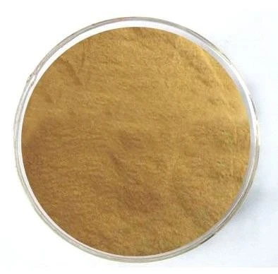 CAS:98446-49-2丨2,4-Dichloro-5-methoxyaniline
