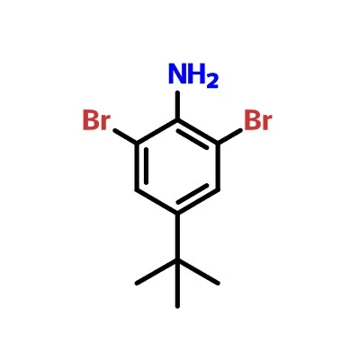 CAS:10546-67-5|2,6-Dibromo-4-(tert-butil)anilin