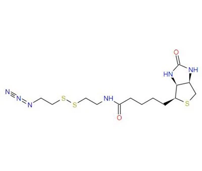 CAS:1620523-64-9丨azid-SS-biotin